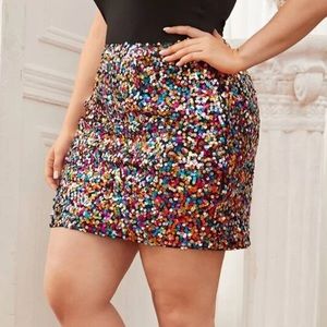 Sequin Skirt